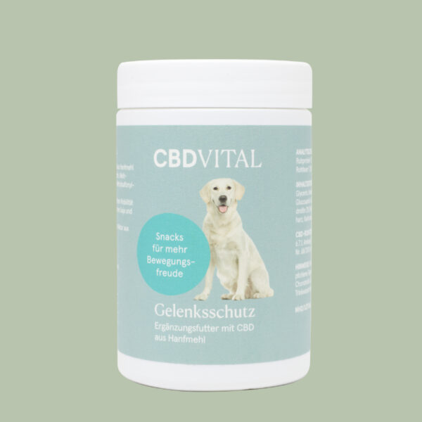 Snacks protection des articulations pour chien au CBD CBDVITAL