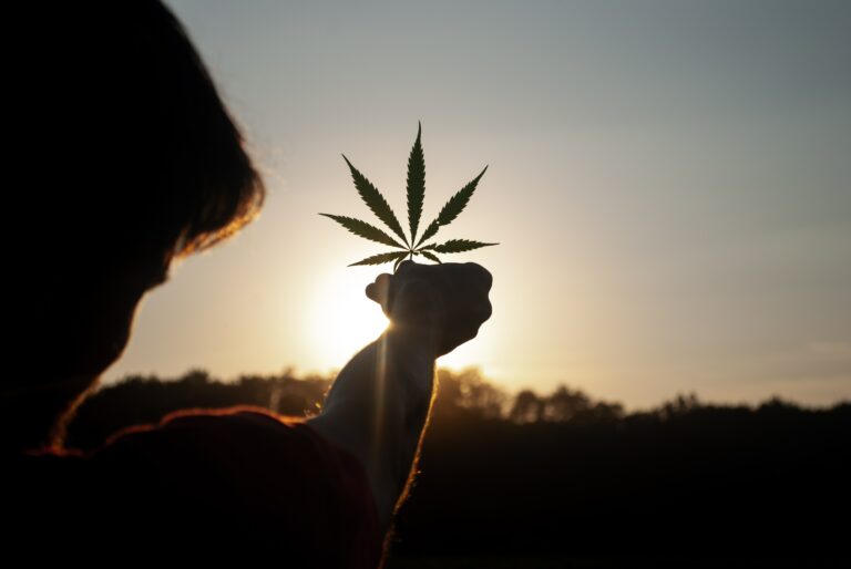Homme qui tient sa main une feuille de cannabis