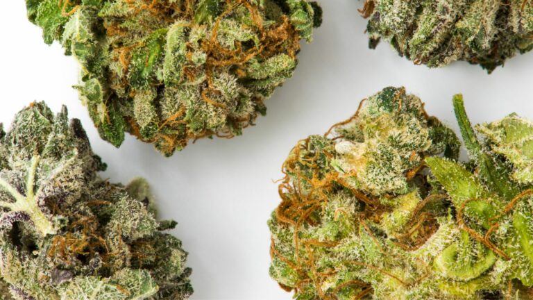 Fleurs de cannabis